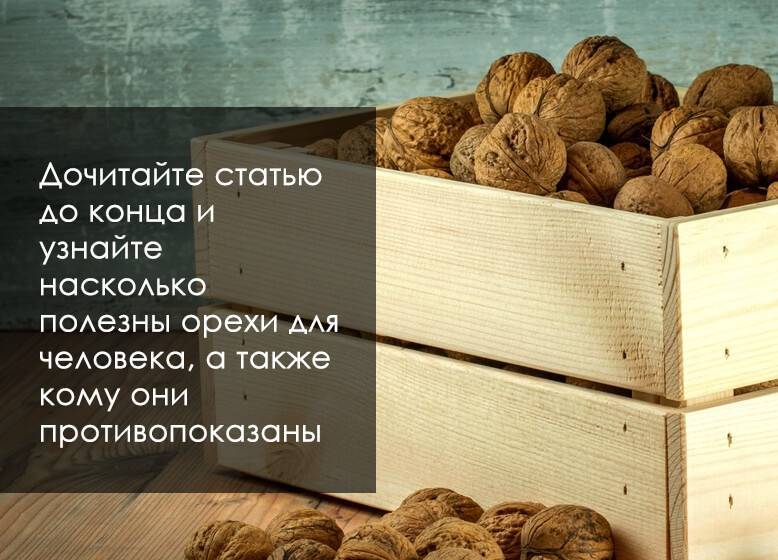 Листья грецкого ореха: чем полезны, как применять, противопоказания