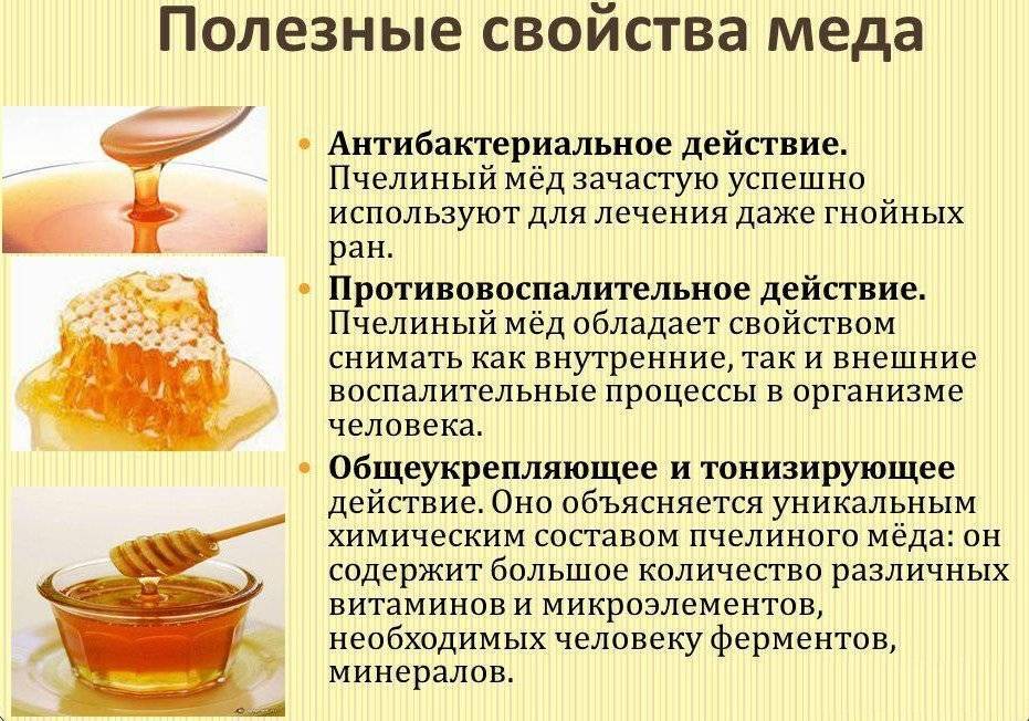 Можно ли есть старый мед // нтв.ru