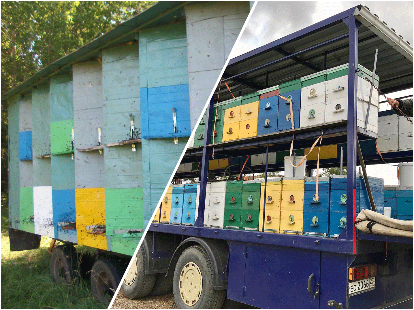 ✅ кассетное пчеловодство: павильон для пчёл своими руками (чертежи) - tehnoyug.com