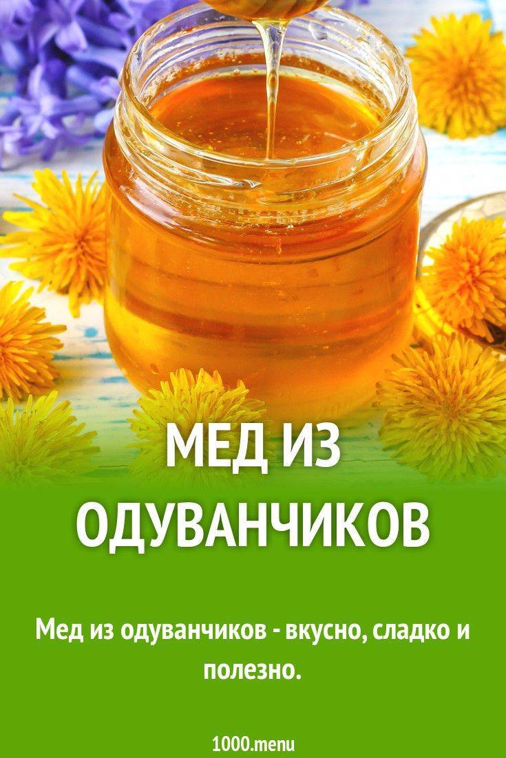 Мед из одуванчика: состав, калорийность, польза, рецепты