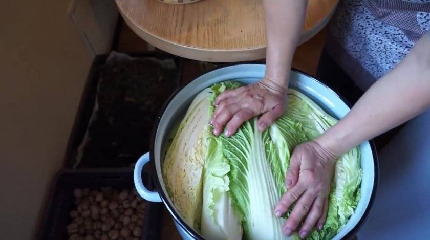 Пекинская капуста. заготовки на зиму из этого полезного и вкусного овоща