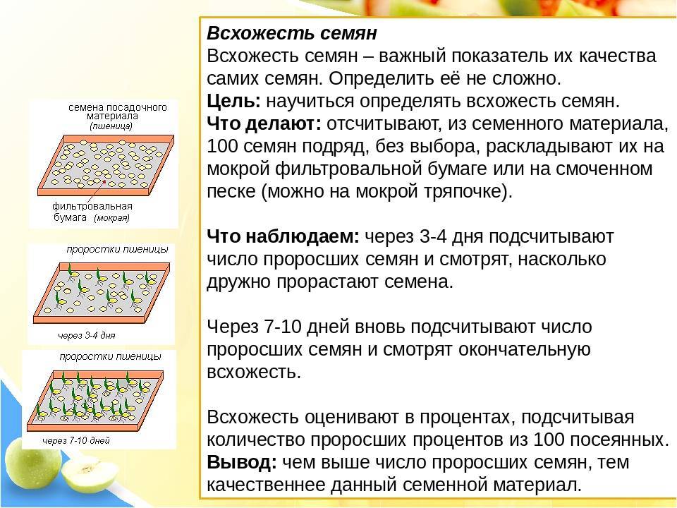 Рассмотрите рисунок в каком сосуде семена прорастут