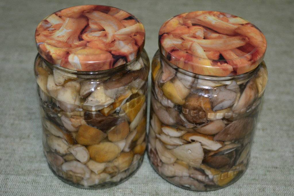 Маринованные белые грибы: простой рецепт приготовления боровиков на зиму