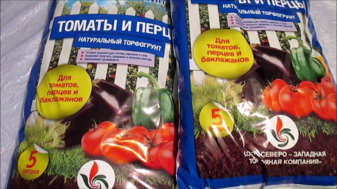 Подготовка земли для рассады помидоров − своими руками, как выбрать грунт, какую почву любят томаты