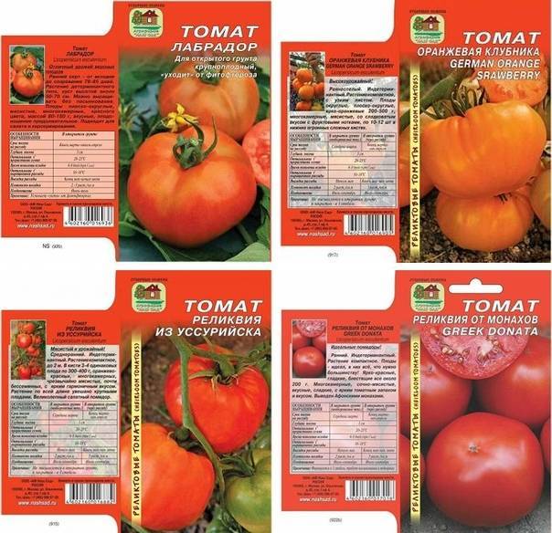 Описание сорта томата Лабрадор, его характеристика и урожайность