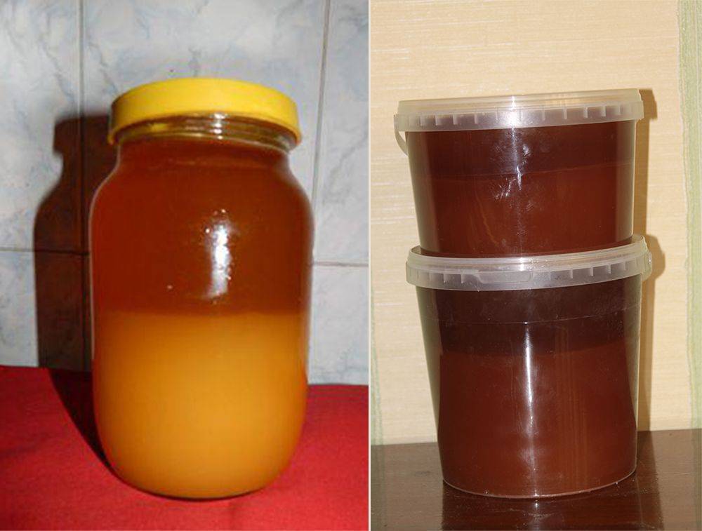 Почему мед забродил или прокис и что с ним делать