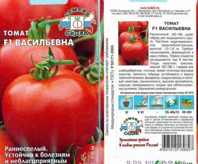 Сорт томатов любаша f1 — выращивание и уход