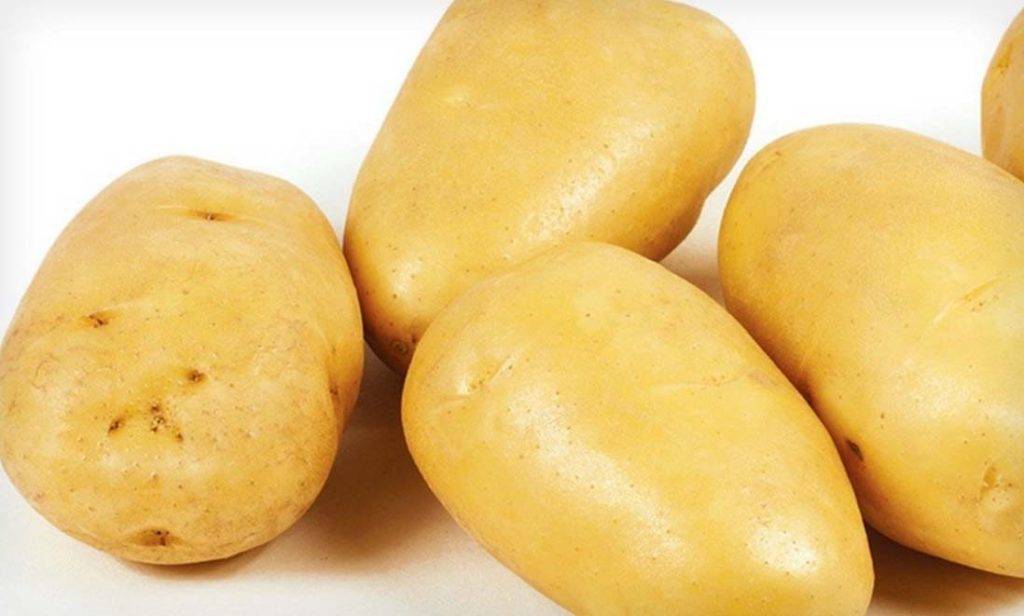 Картофель зекура: характеристика, отзывы, вкусовые качества, выращивание, уход