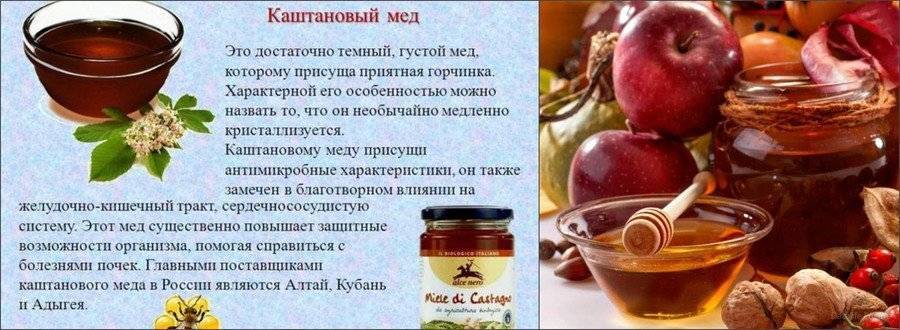 Каштановый мёд [рецепты] полезные свойства [описание и состав] - медовый сундучок