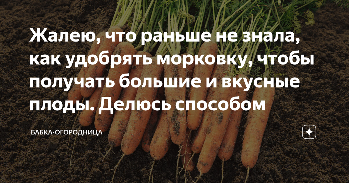 Как часто поливать морковь в открытом грунте?