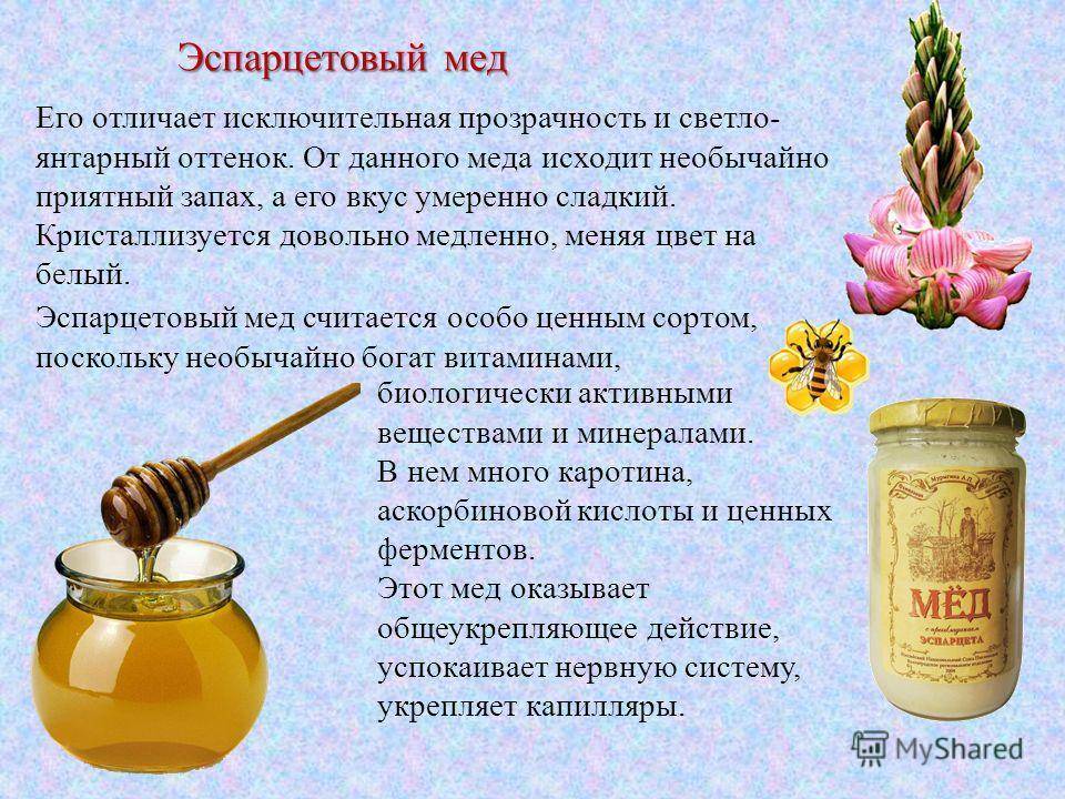 Эспарцетовый мед: полезные свойства, противопоказания, применение