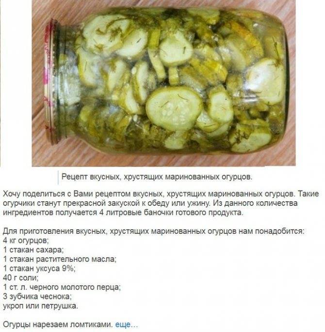 Огурцы консервированные технологическая карта
