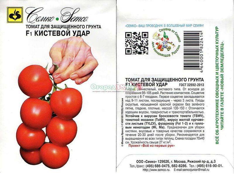 Характеристика сорта томата Кистевой удар и агротехника выращивания