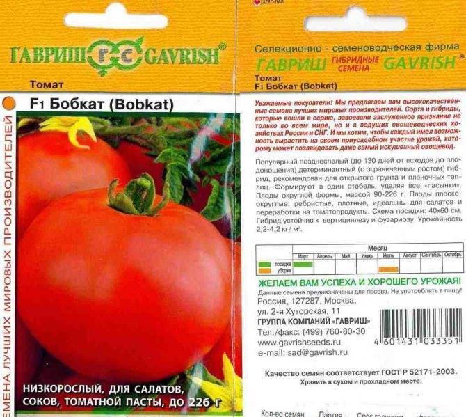 Описание и характеристики сорта томатов Бобкат, урожайность и выращивание
