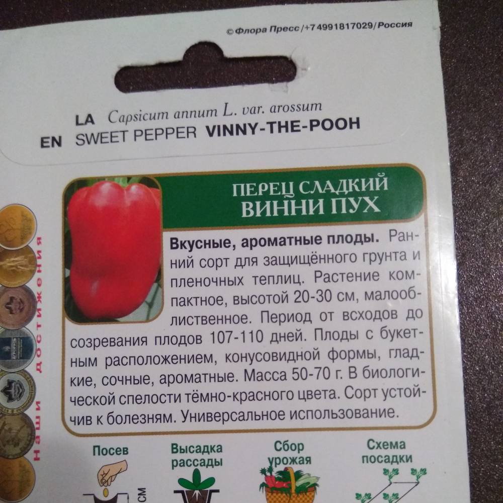 Перец «винни пух»: характеристика и описание, как выращивать