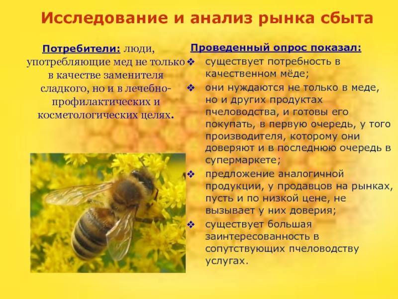 Проблемы и направления развития пчеловодства в белоруссии
