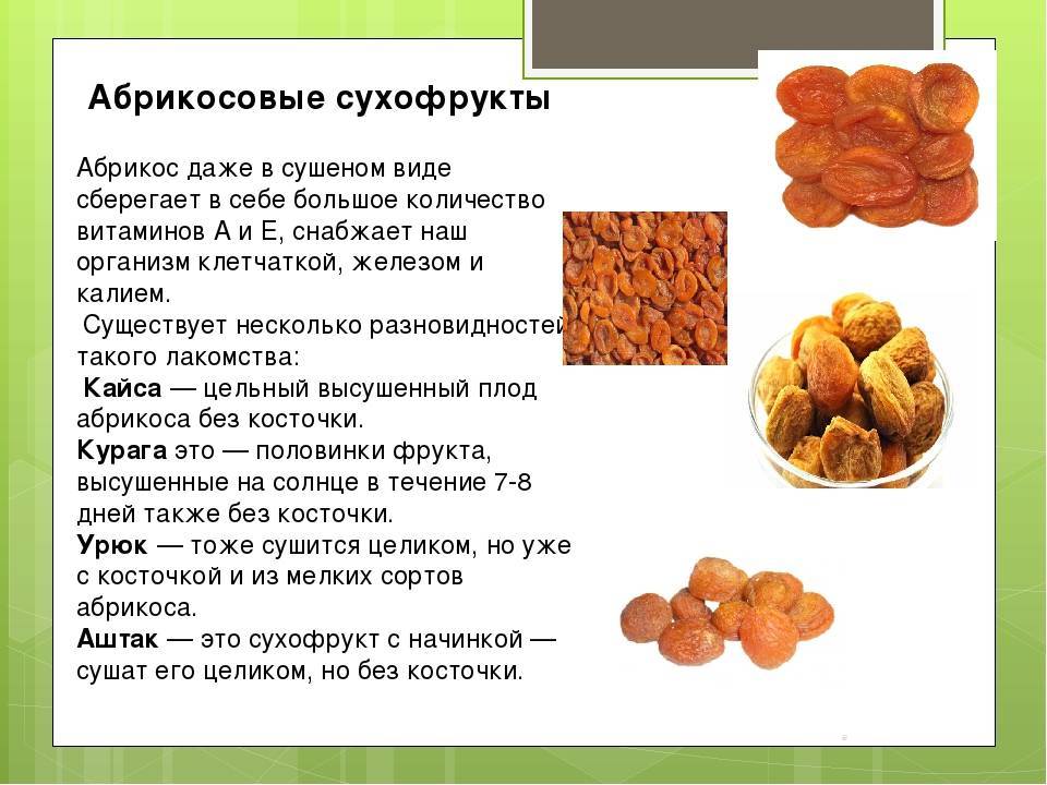 Калорийность абрикосы. химический состав и пищевая ценность.