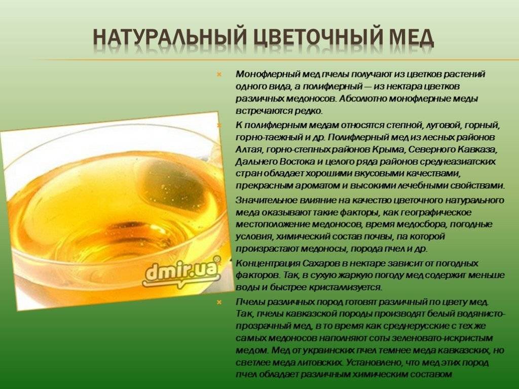 Как выбрать качественный мёд: изучаем упаковку • imorganic