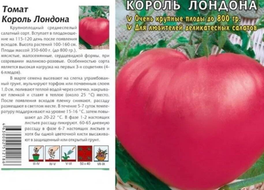 Томат розовый король f1: отзывы об урожайности, фото, характеристика и описание лучшего на рынке сорта