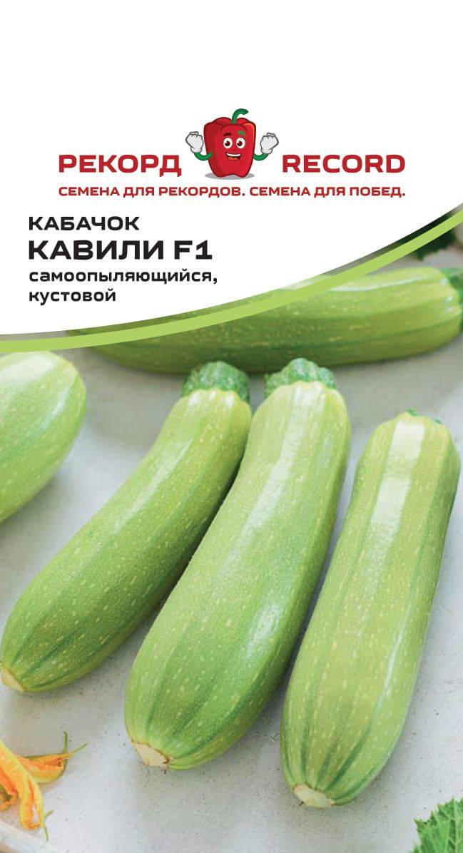 Характеристика и описание гибрида кабачка кавили f1: выращивание и уход