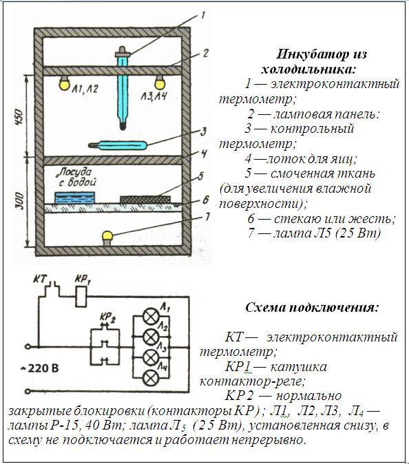 Инкубатор для яиц схема - 95 фото