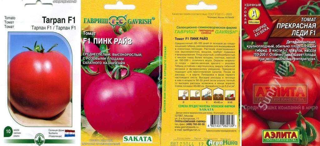 Томат пинк пионер f1: отзывы об урожайности помидоров, характеристика и описание сорта, фото куста