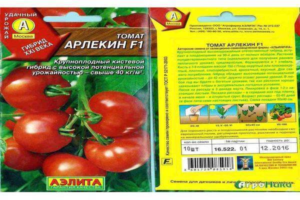 Томат гном: описание сорта помидора