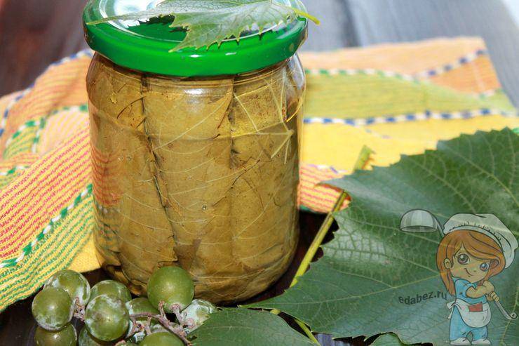 Как заготовить виноградные листья на зиму для долмы? простые рецепты заготовки.
