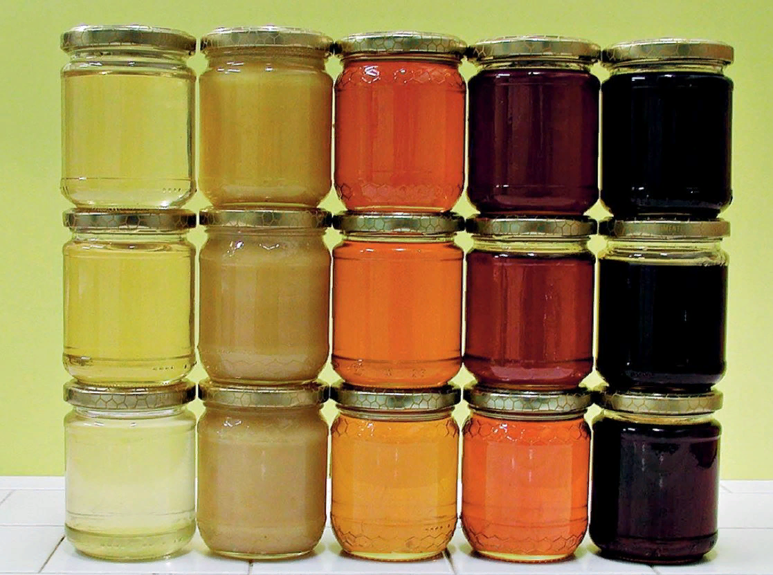 Темный пчелиный мед - различные сорта и полезные свойства