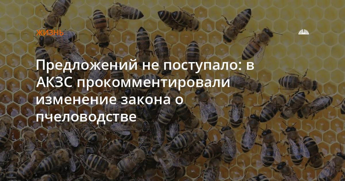 Закон о пчеловодстве в российской федерации