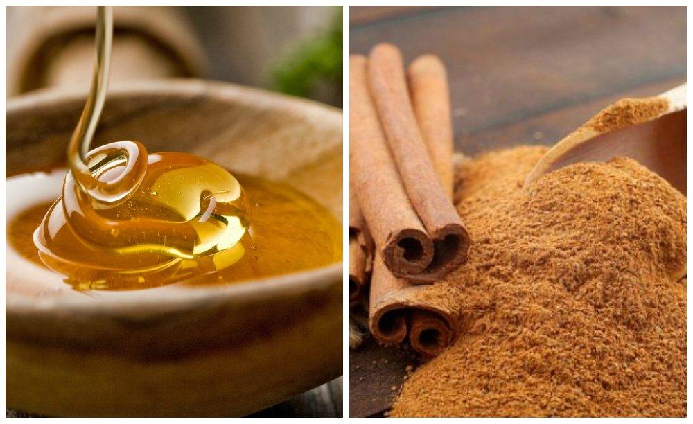 Корица с медом: полезные свойства, противопоказания, рецепты приготовления