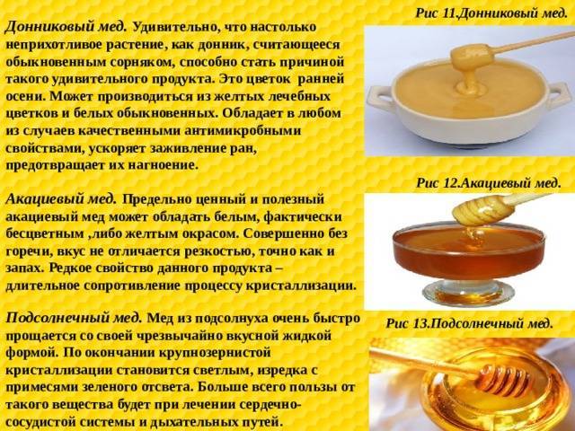 Донниковый мёд: польза и вред, характерные особенности, употребление, фото