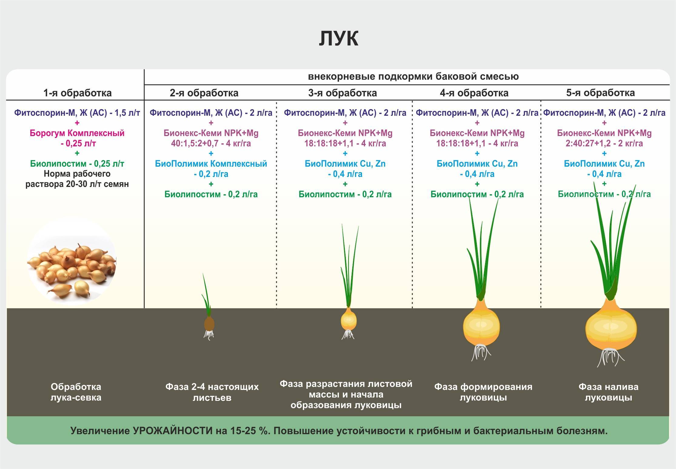 5 хитростей для выращивания сладкого гороха и сбора нескольких урожаев за сезон — agroxxi