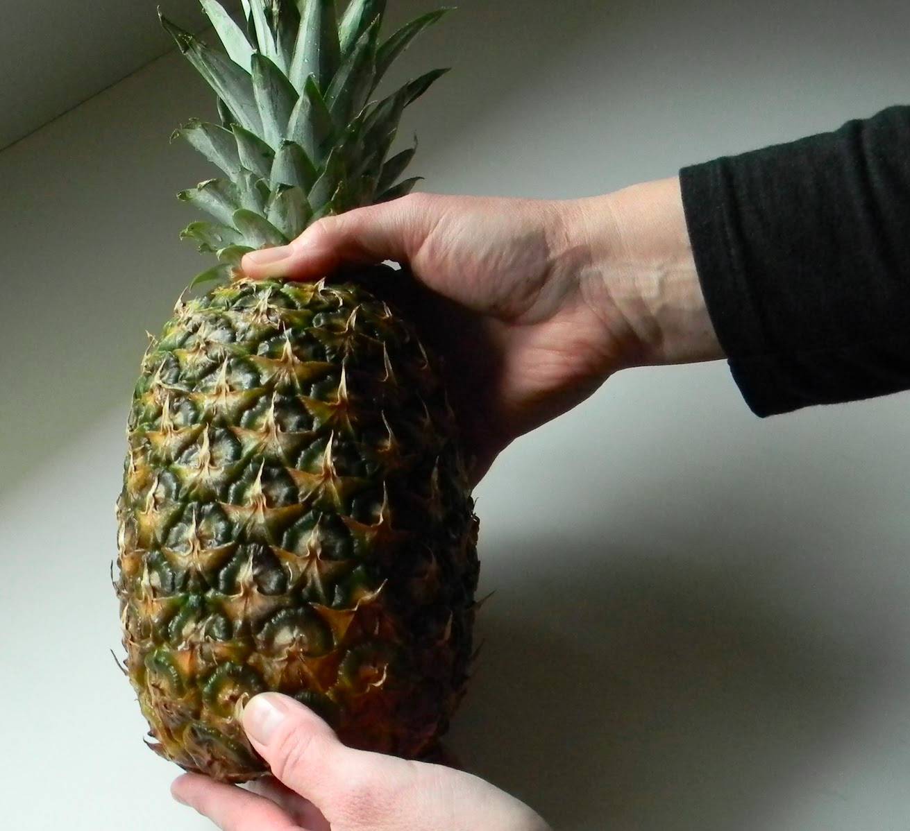 Как выбрать спелый ананас, как его хранить в домашних условиях