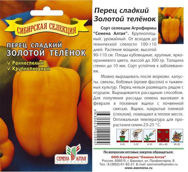 Перец золотое чудо: описание и характеристика сладкого болгарского сорта, фото растения в высоту, отзывы об урожайности, как посадить и выращивать на подоконнике