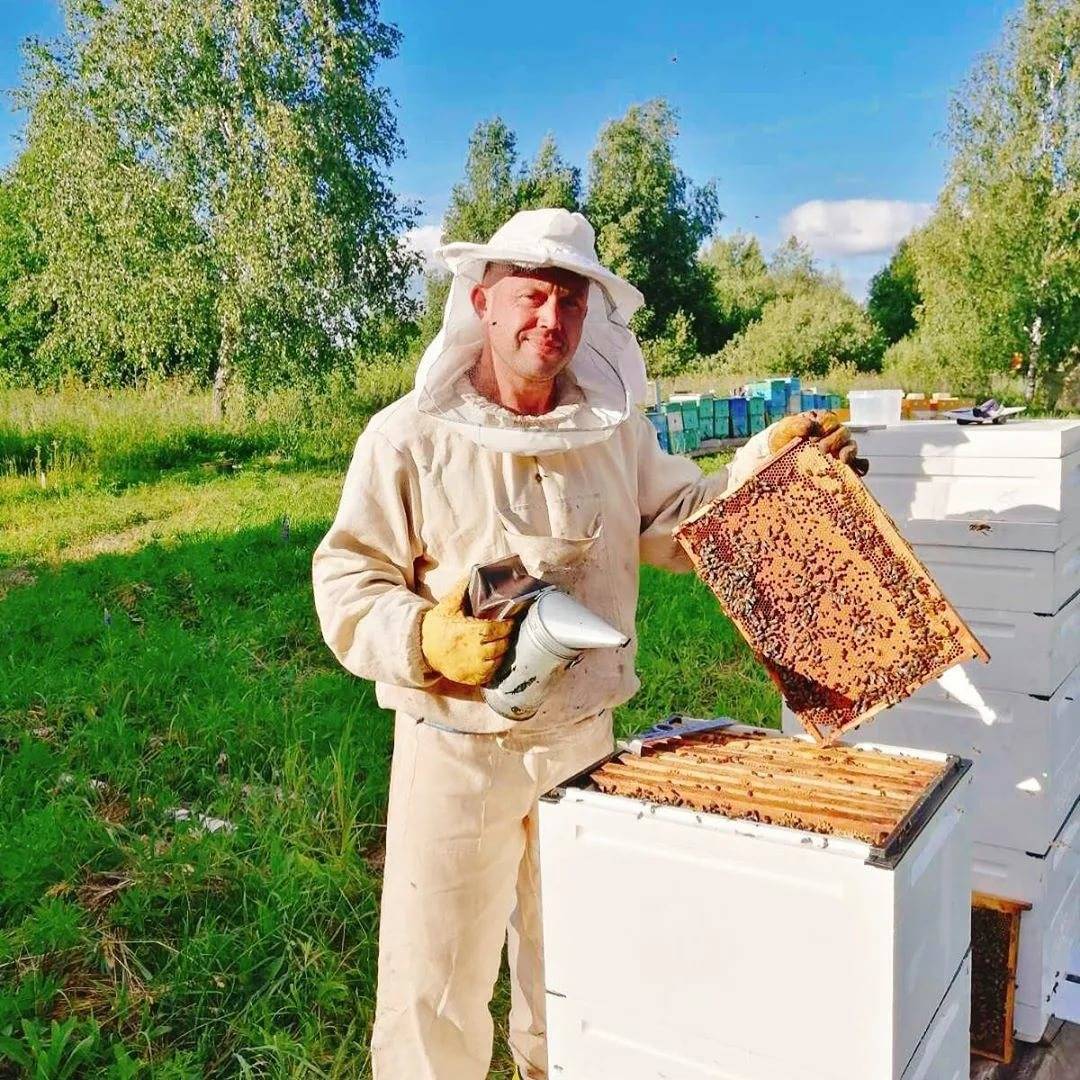 Кочевое пчеловодство: выбор места, перевозка ульев, преимущества и недостатки
