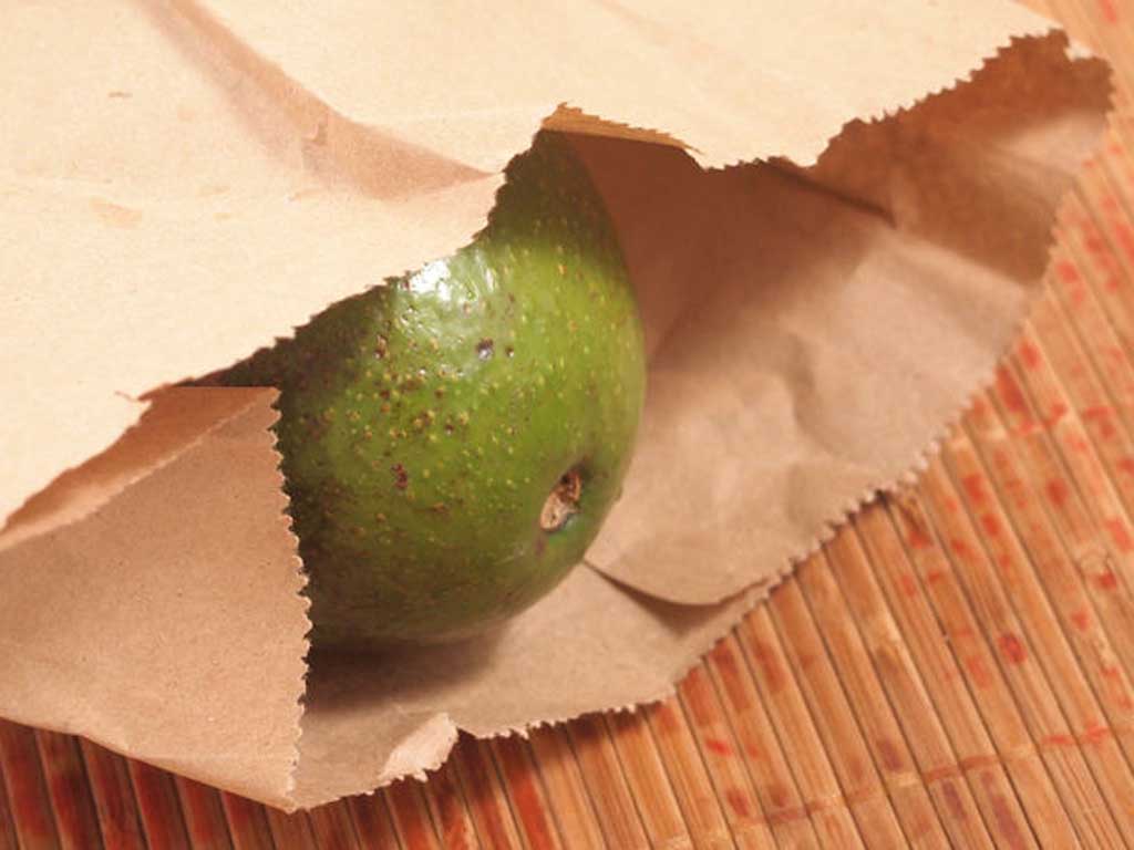 Как дозреть авокадо в домашних условиях: быстрые способы доведения до спелости