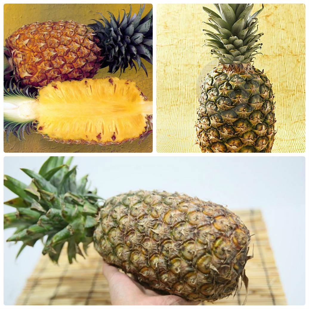 Как выбрать спелый ананас в магазине | cookingfood.com.ua