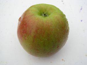 Описание сорта яблони татьяна: фото, отзывы, посадка