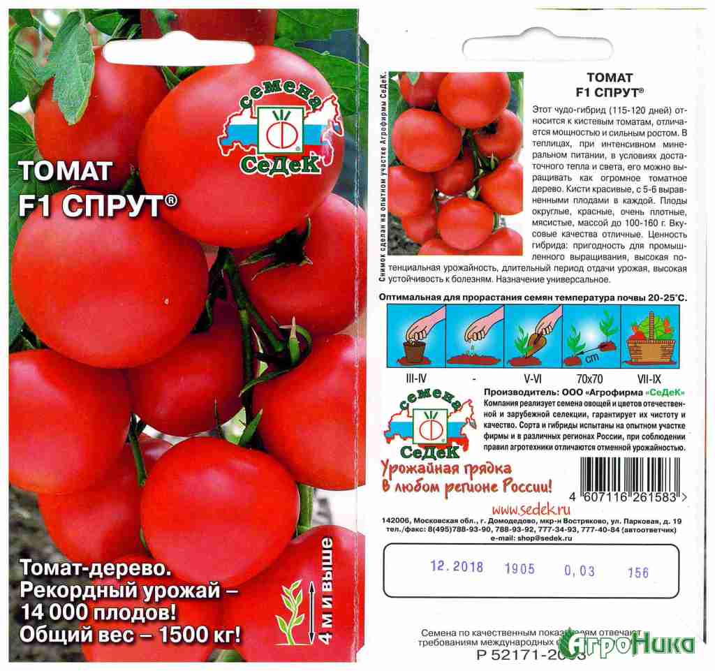 Помидорное дерево спрут f1 (11 фото). томатное дерево: выращивание в открытом грунте, в домашних условиях, фото, отзывы
