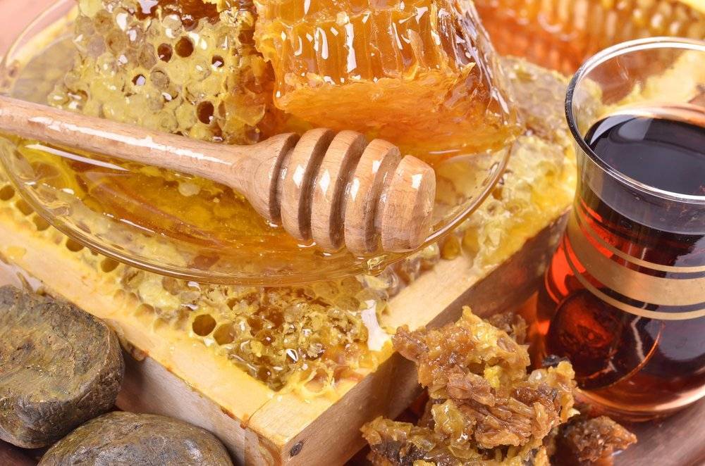 Шмелиный мед: как делают, полезные свойства, противопоказания