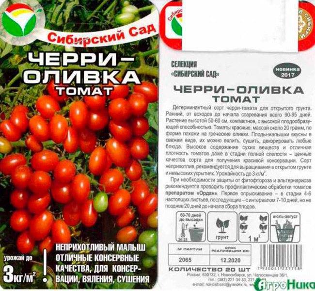 Описание лучших сортов томатов черри для открытого грунта
