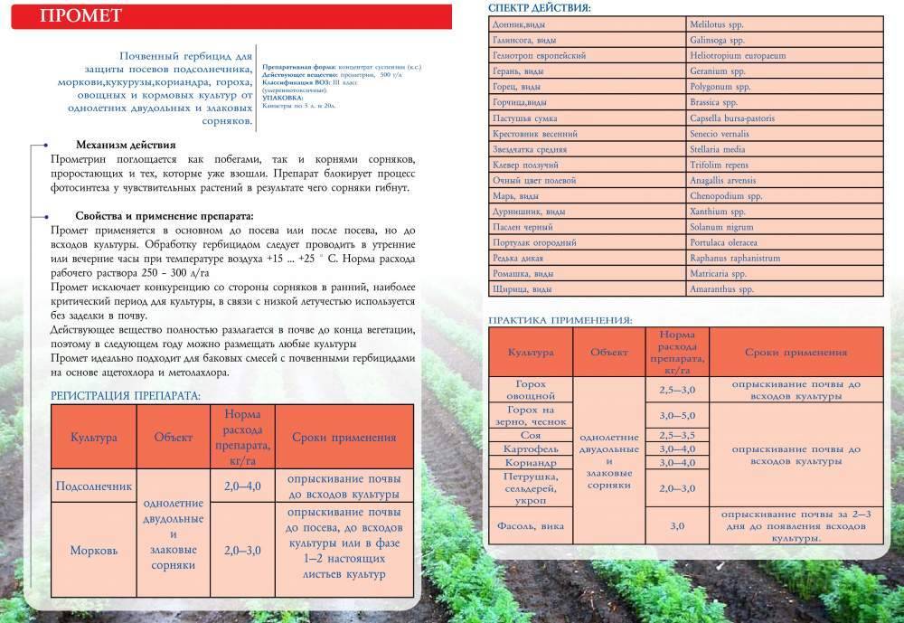 Использование гербицидов для выращивания кукурузы (выбор и применение)