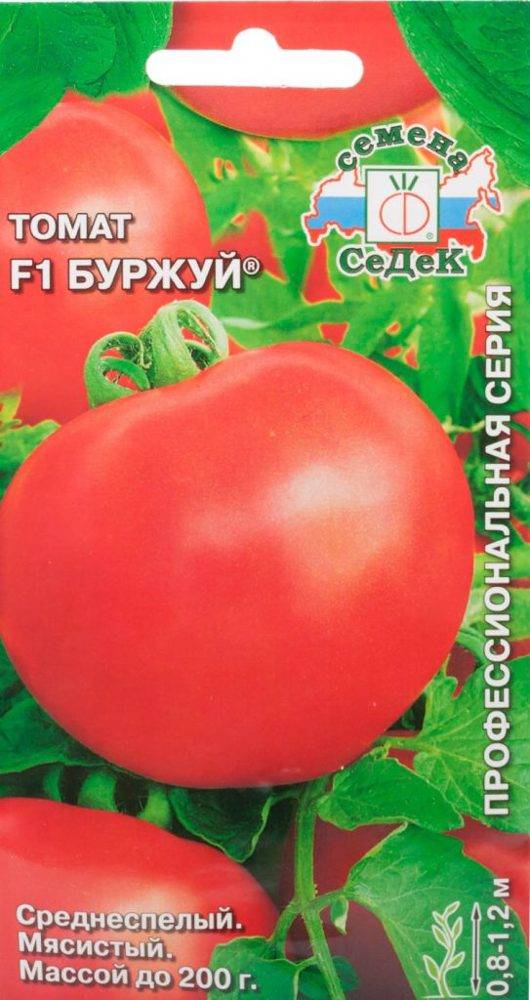 Сорт помидоров с говорящим названием — томат «соседская зависть f1»: чем хорош и как его правильно выращивать