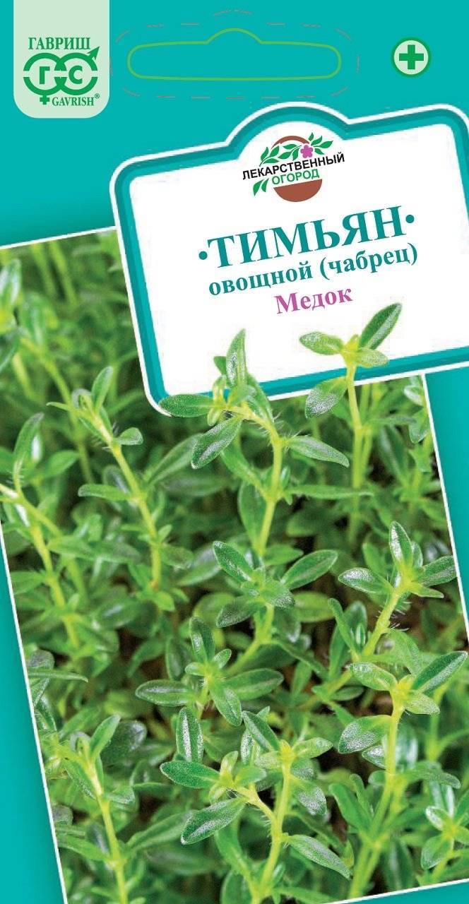 Тимьян медок: описание овощного сорта, особенности выращивания и свойства