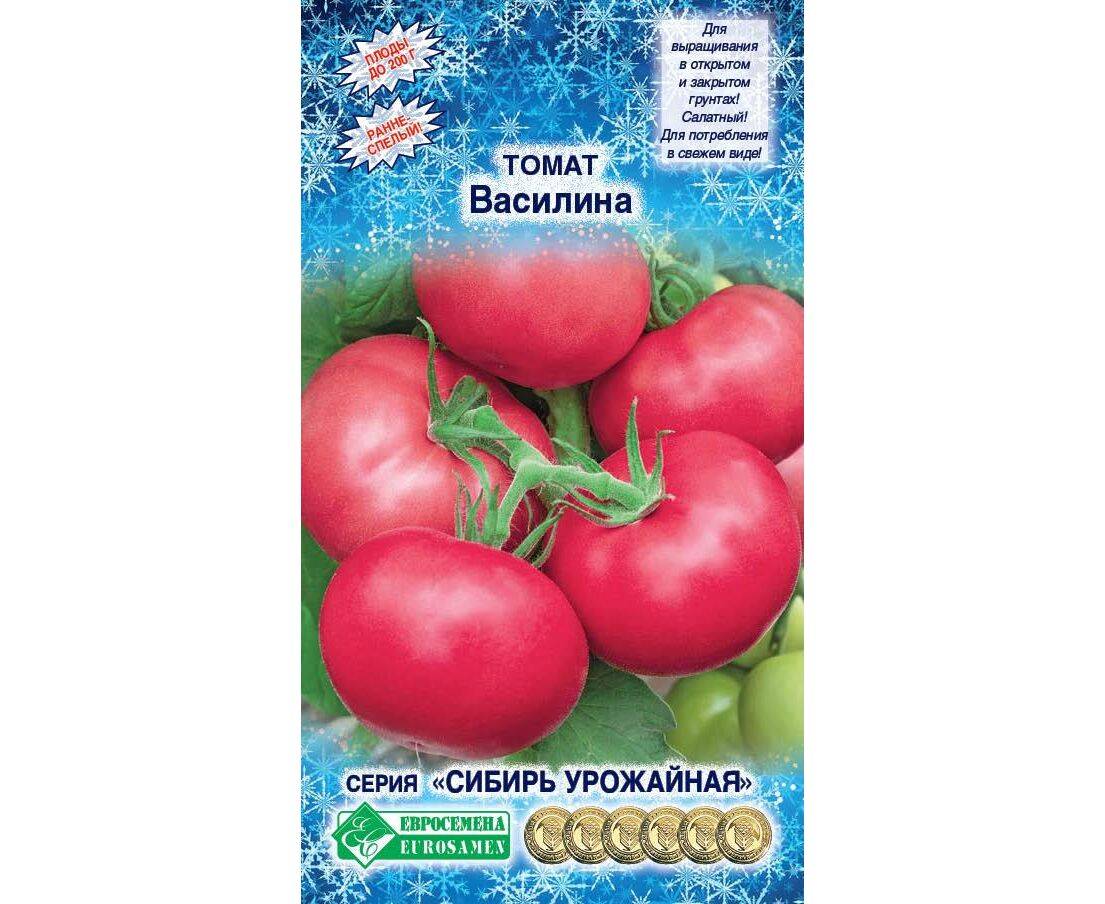 Описание плодов томата Василина и общая характеристика сорта
