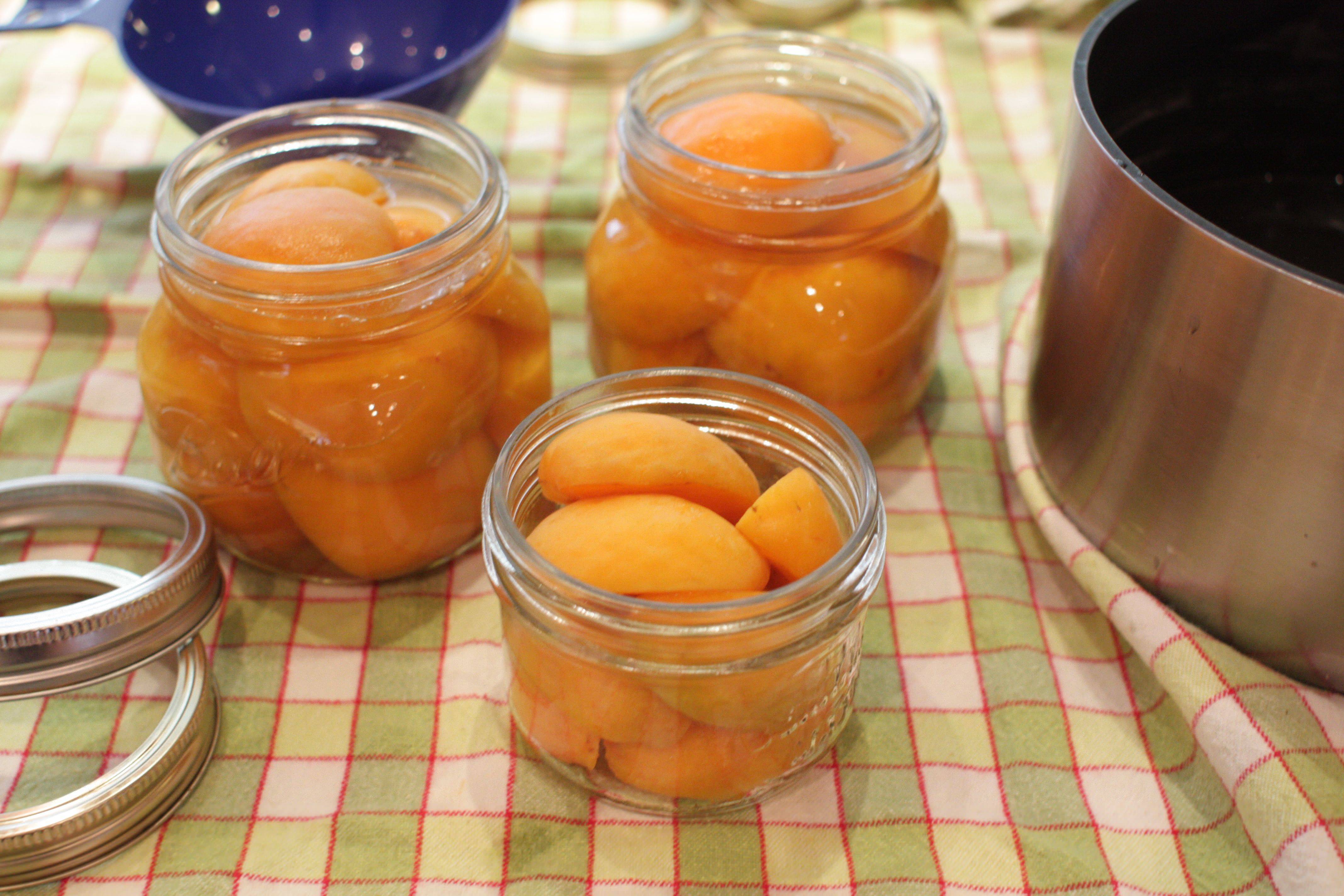 Варенье из сливы без косточек и с косточкой: рецепт с фото простой и пятиминутка варенья со сливами и яблоками, орехами, апельсинами, имбирем