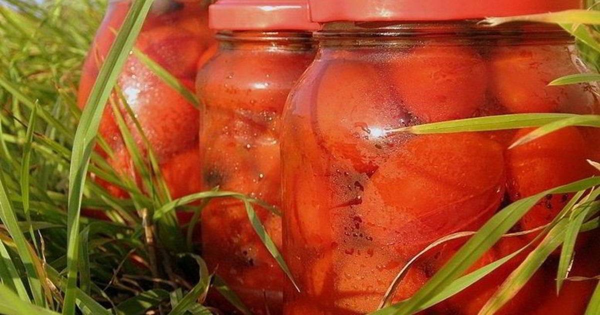 Маринованные помидоры на зиму — очень вкусные рецепты