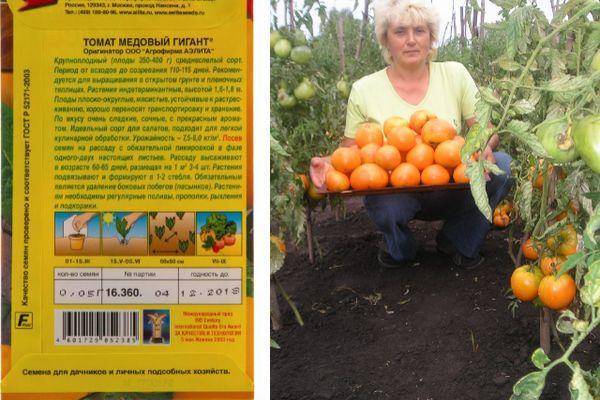 Томат медовый гигант: характеристика и описание оранжевого сорта, отзывы тех кто сажал помидоры об их урожайности, фото куста