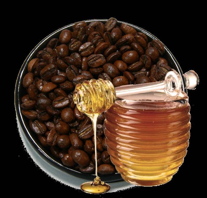 Можно ли пить кофе с медом, есть ли полезные свойства?
